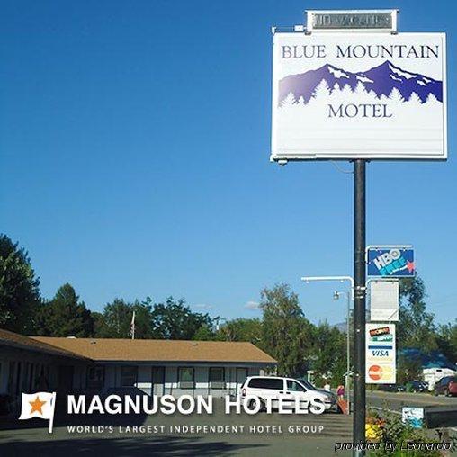 Blue Mountain Motel Okanogan Номер фото